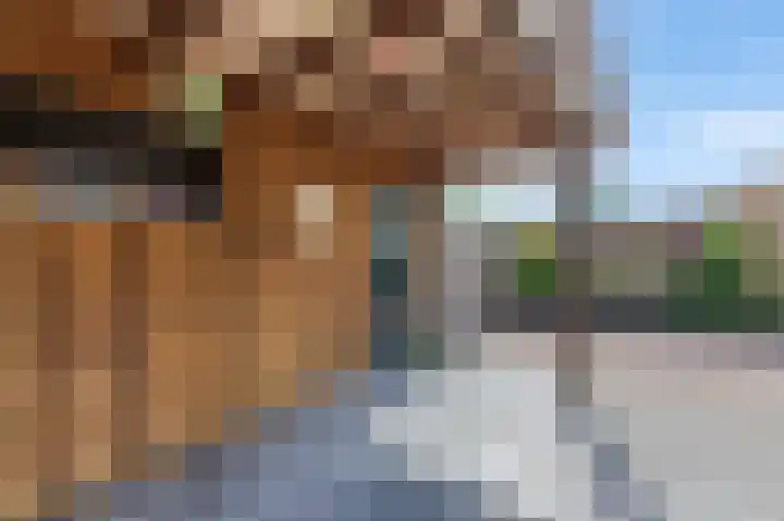 Zuiderveldstraat 35 Joure thumbnail 39