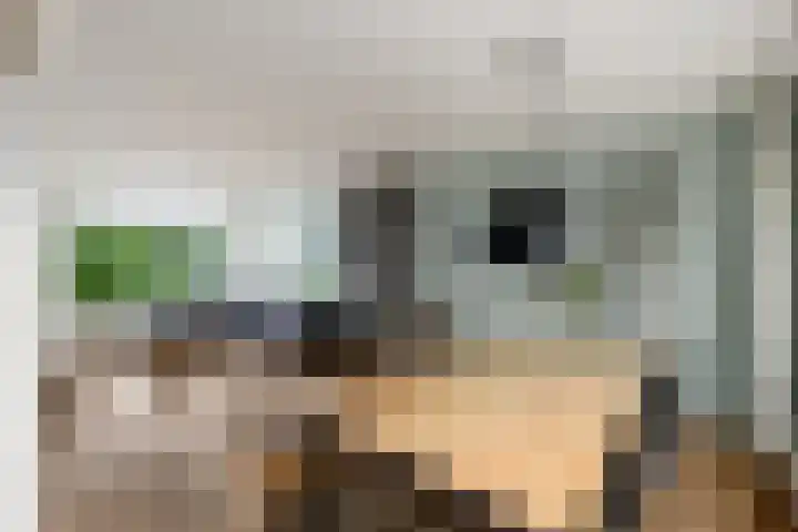 Zuiderveldstraat 49 Joure thumbnail 10