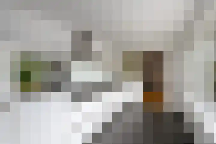 Zuiderveldstraat 49 Joure thumbnail 13