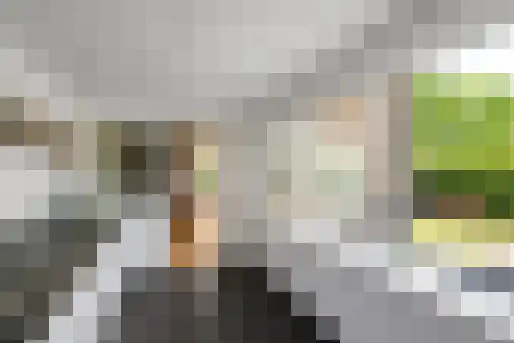 Zuiderveldstraat 49 Joure thumbnail 14