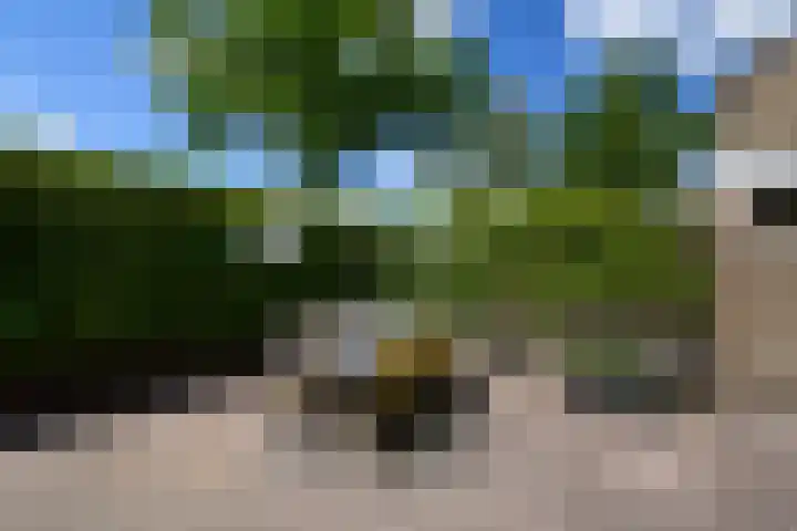 Zuiderveldstraat 49 Joure thumbnail 38