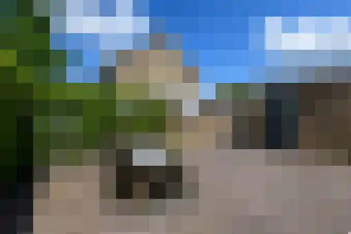 Zuiderveldstraat 49 Joure thumbnail 39