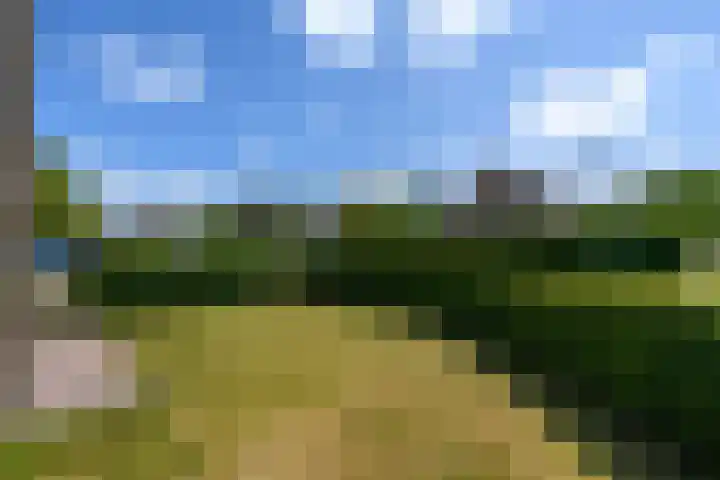Zuiderveldstraat 49 Joure thumbnail 44