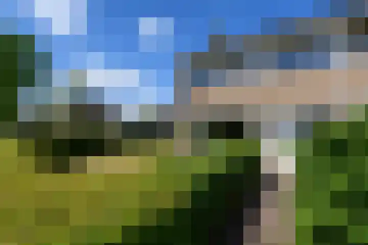Zuiderveldstraat 49 Joure thumbnail 45