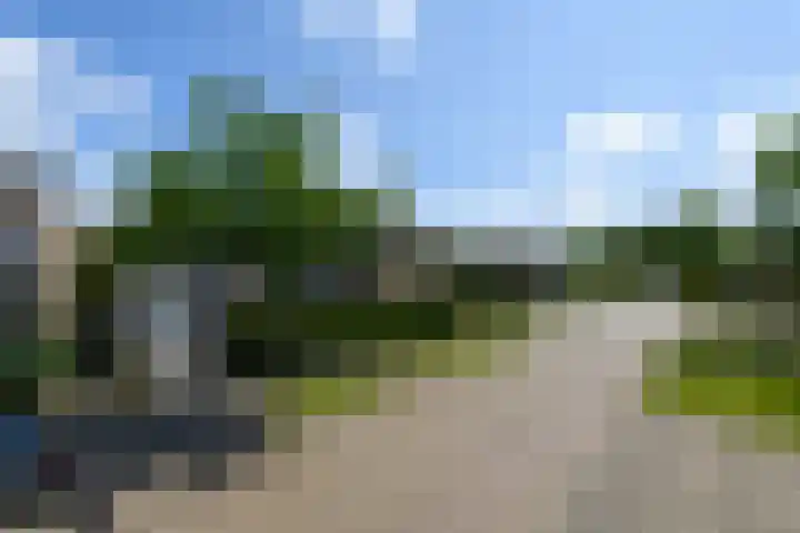 Zuiderveldstraat 49 Joure thumbnail 47