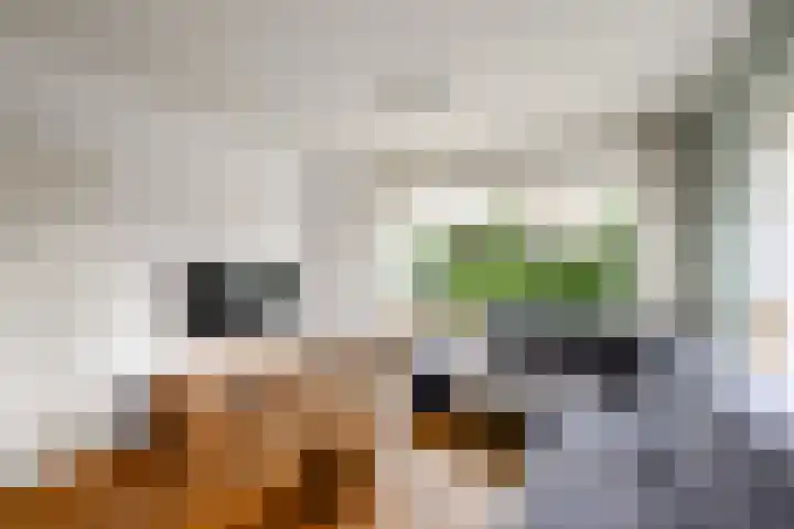 Zuiderveldstraat 49 Joure thumbnail 6