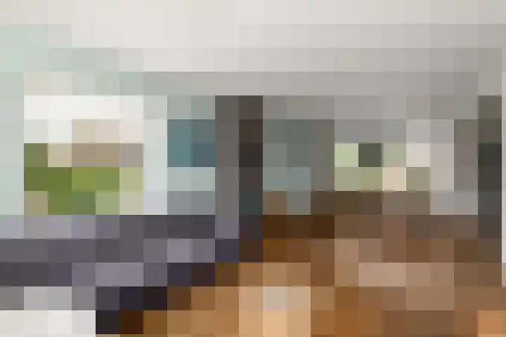 Zuiderveldstraat 49 Joure thumbnail 7