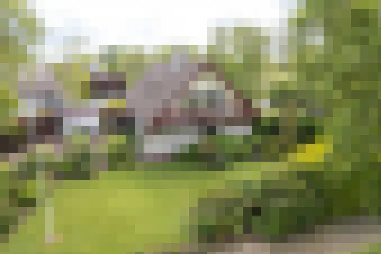 Zuiderveldstraat 70 Joure thumbnail 36