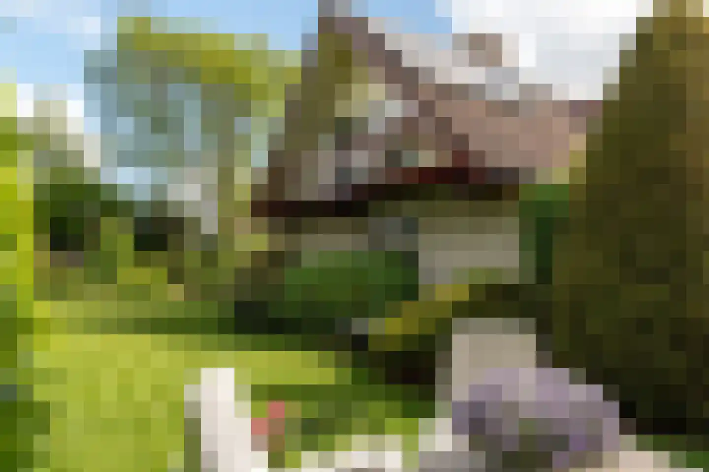 Zuiderveldstraat 70 Joure thumbnail 40