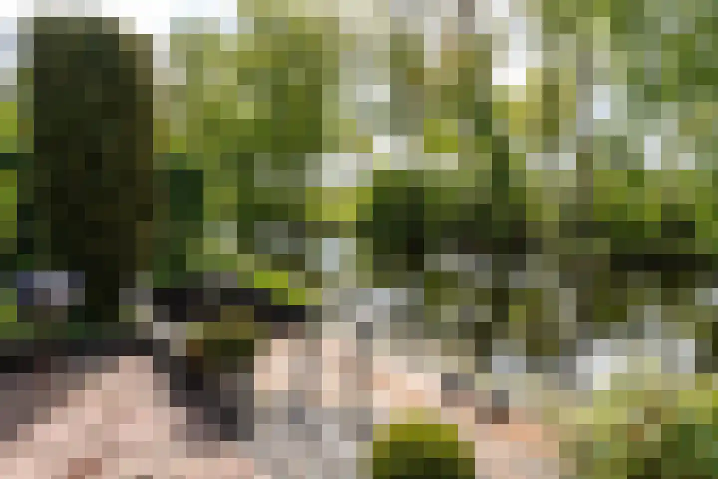 Zuiderveldstraat 70 Joure thumbnail 43