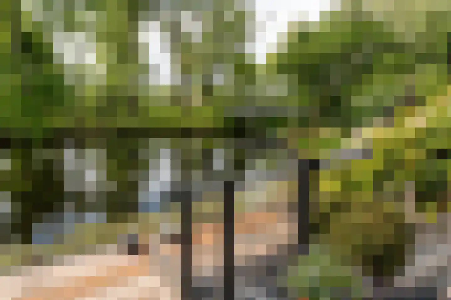 Zuiderveldstraat 70 Joure thumbnail 44