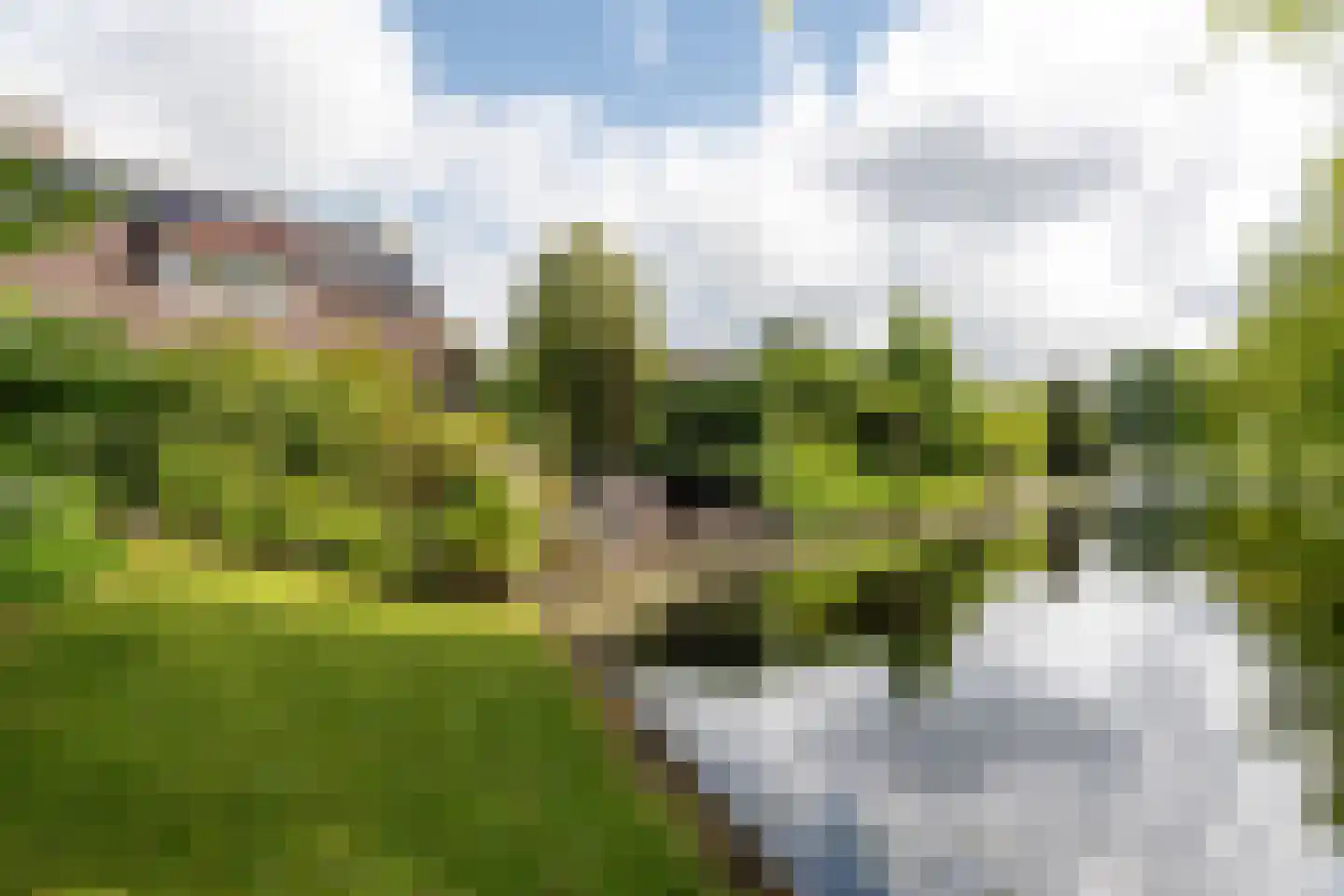 Zuiderveldstraat 70 Joure thumbnail 47