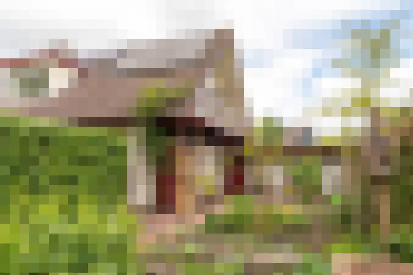 Zuiderveldstraat 70 Joure thumbnail 51