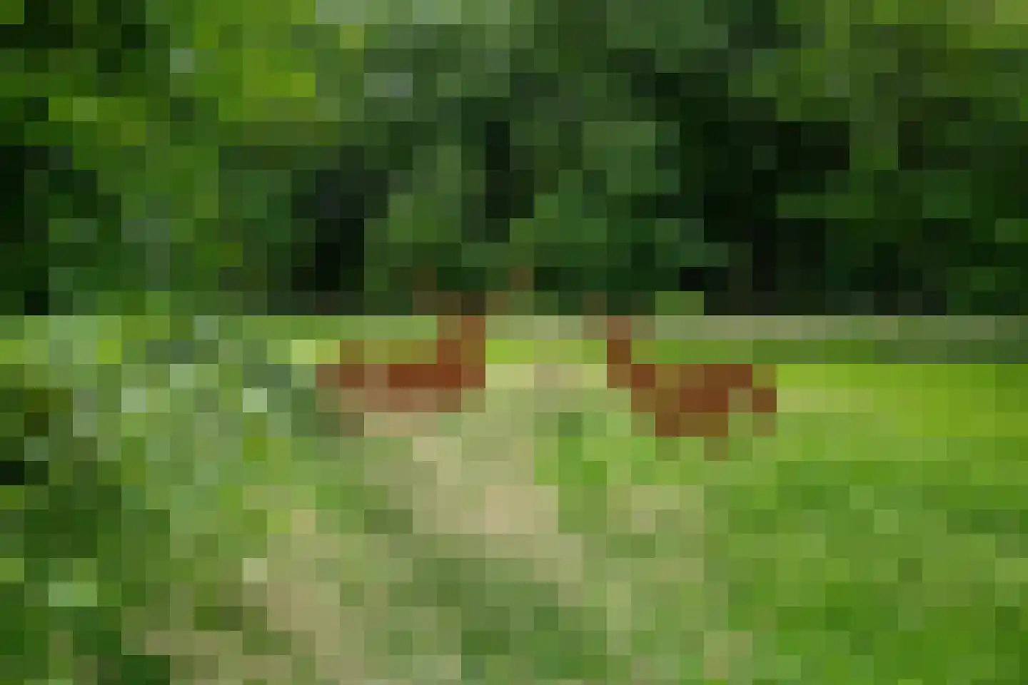 Zuiderveldweg 18 A Putten thumbnail 10