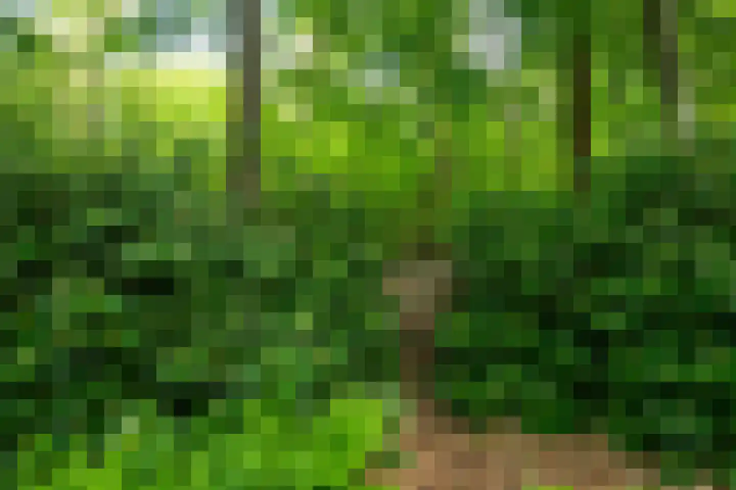 Zuiderveldweg 18 A Putten thumbnail 11