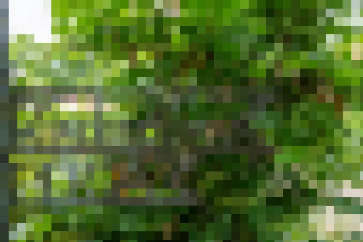 Zuiderveldweg 18 A Putten thumbnail 22