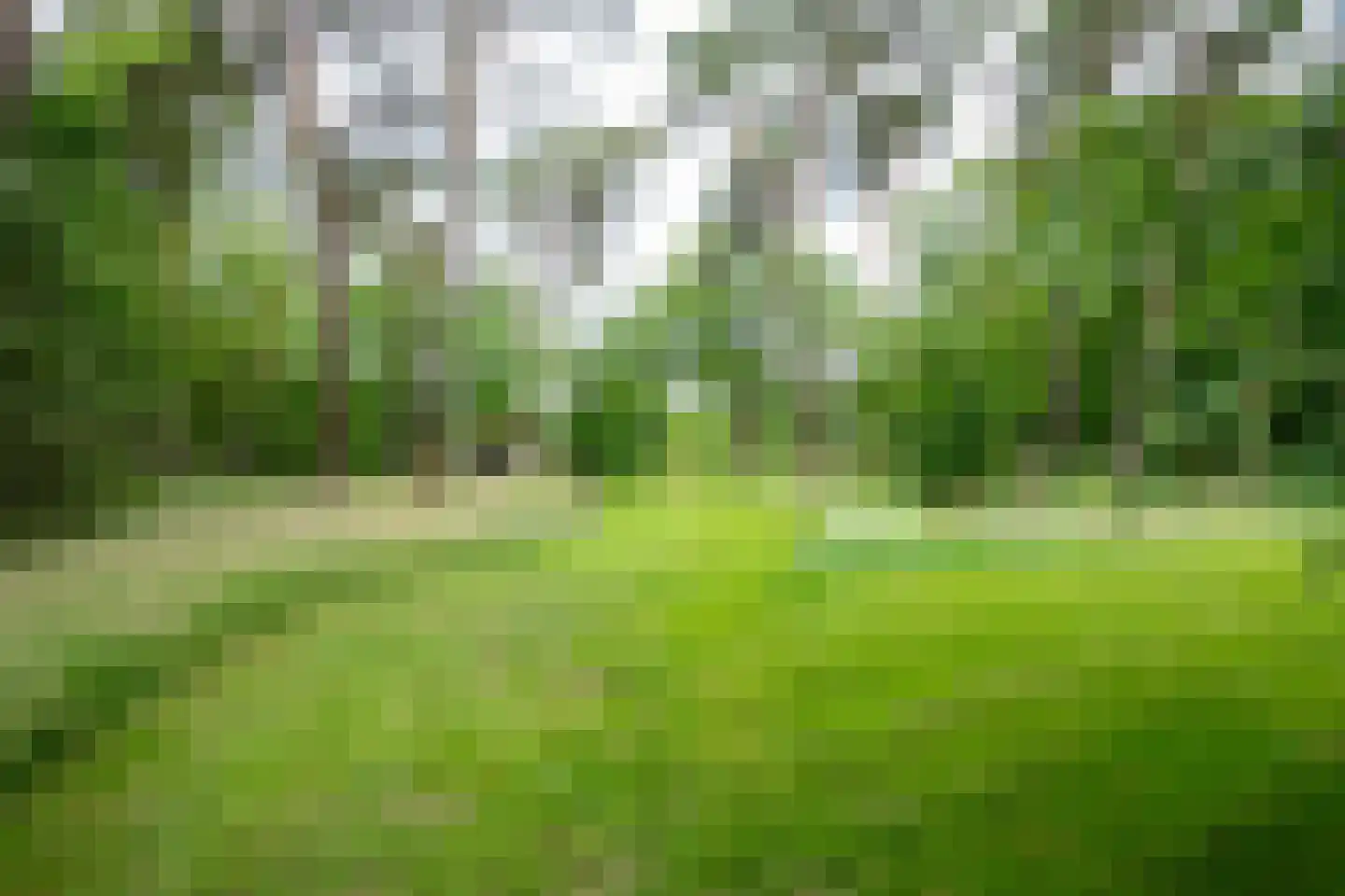 Zuiderveldweg 18 A Putten thumbnail 23