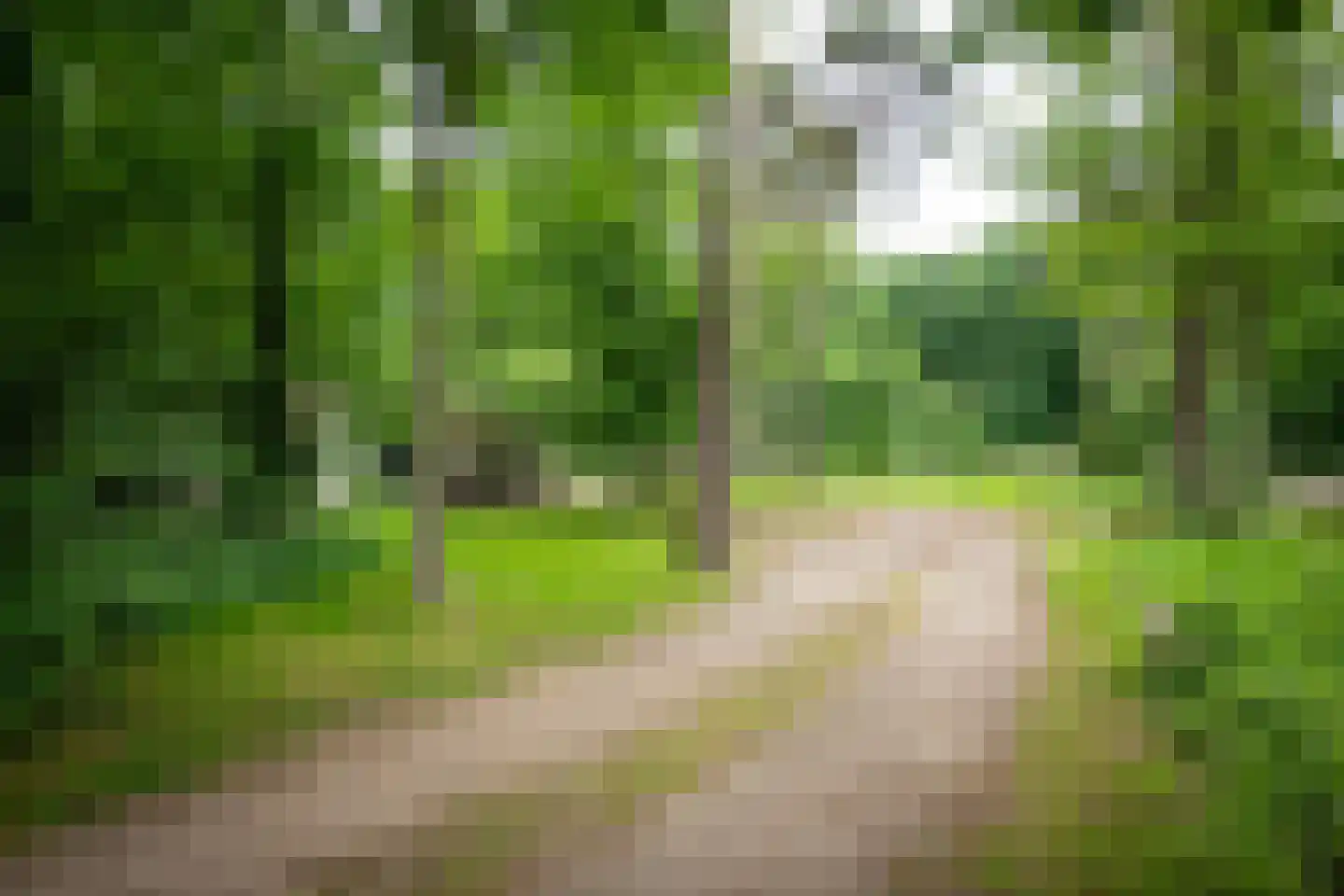 Zuiderveldweg 18 A Putten thumbnail 24