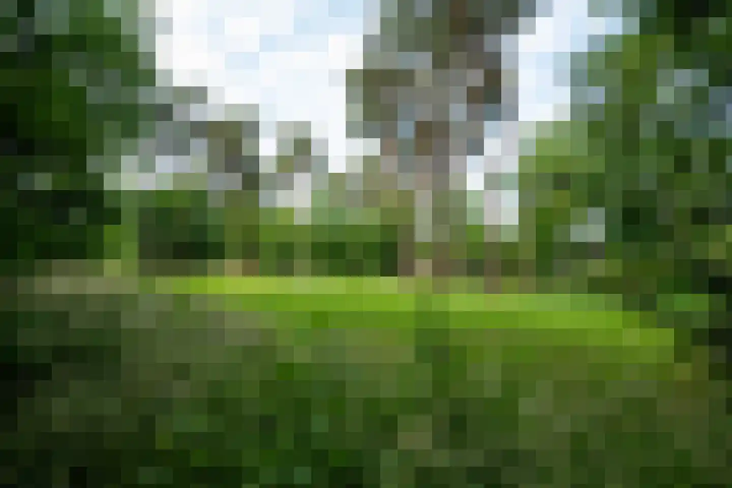 Zuiderveldweg 18 A Putten thumbnail 30