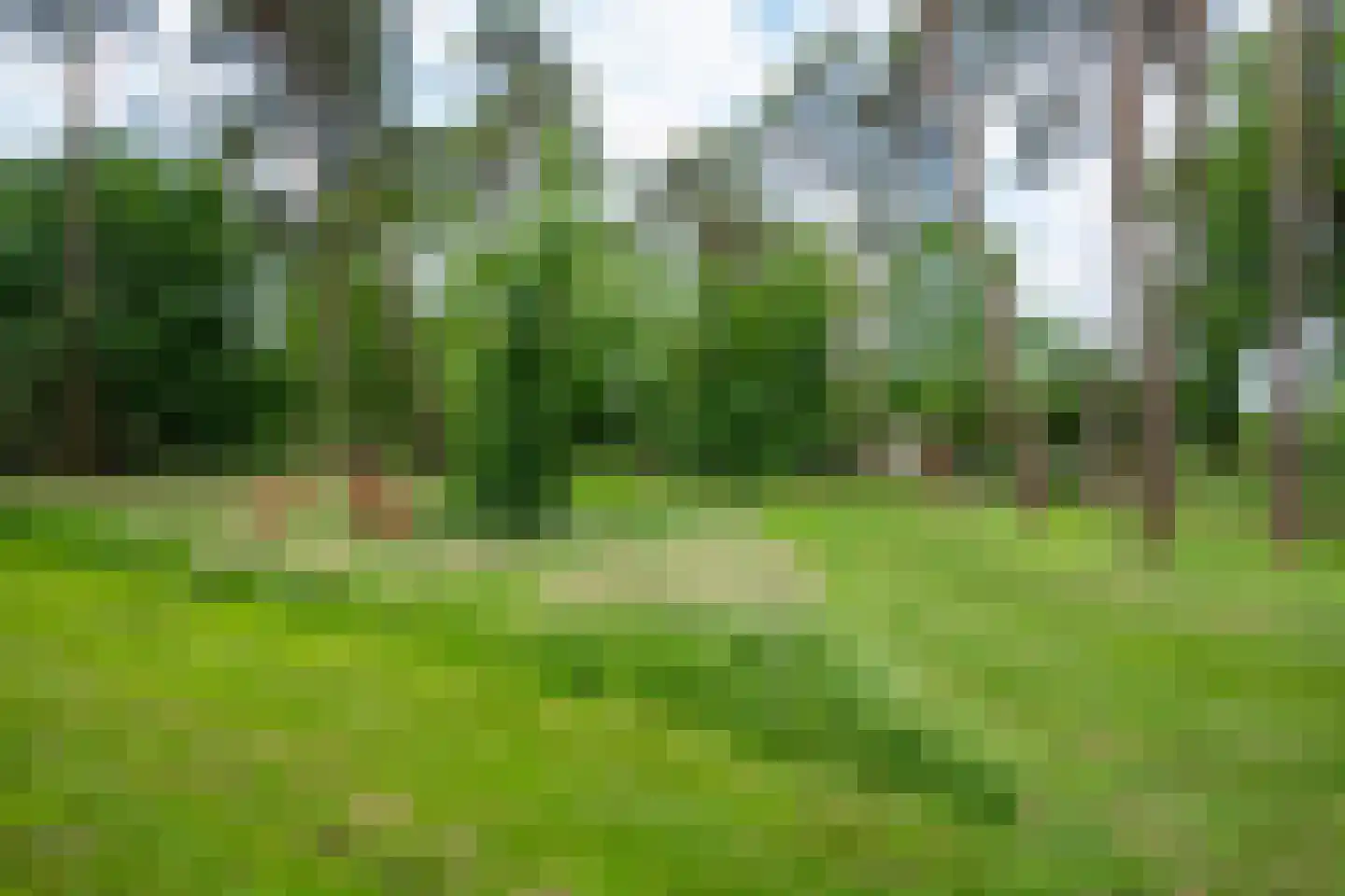 Zuiderveldweg 18 A Putten thumbnail 31