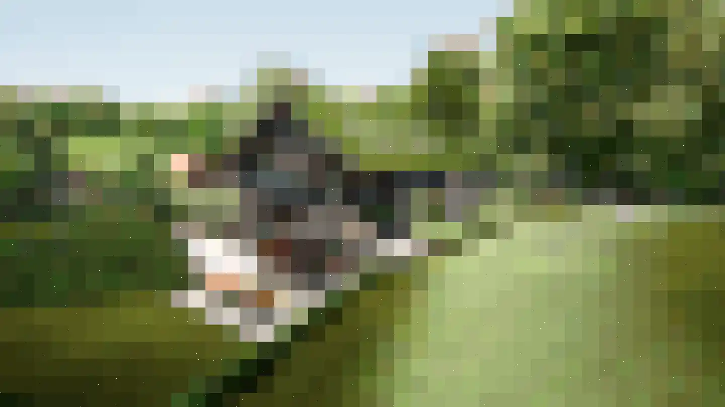 Zuiderveldweg 18 A Putten thumbnail 35