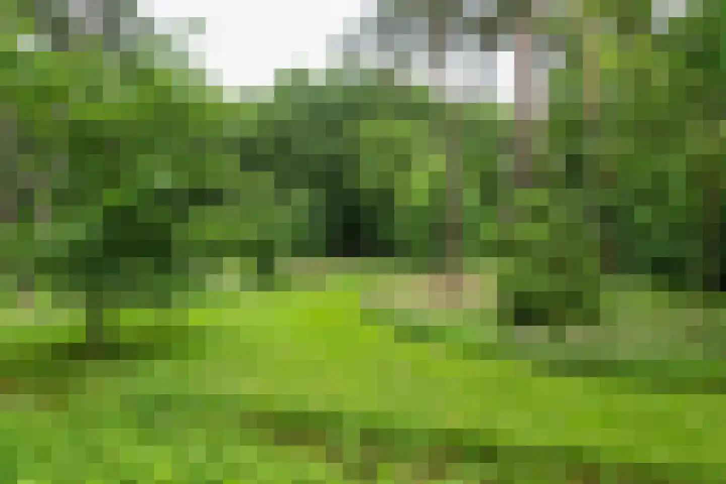 Zuiderveldweg 18 A Putten thumbnail 4