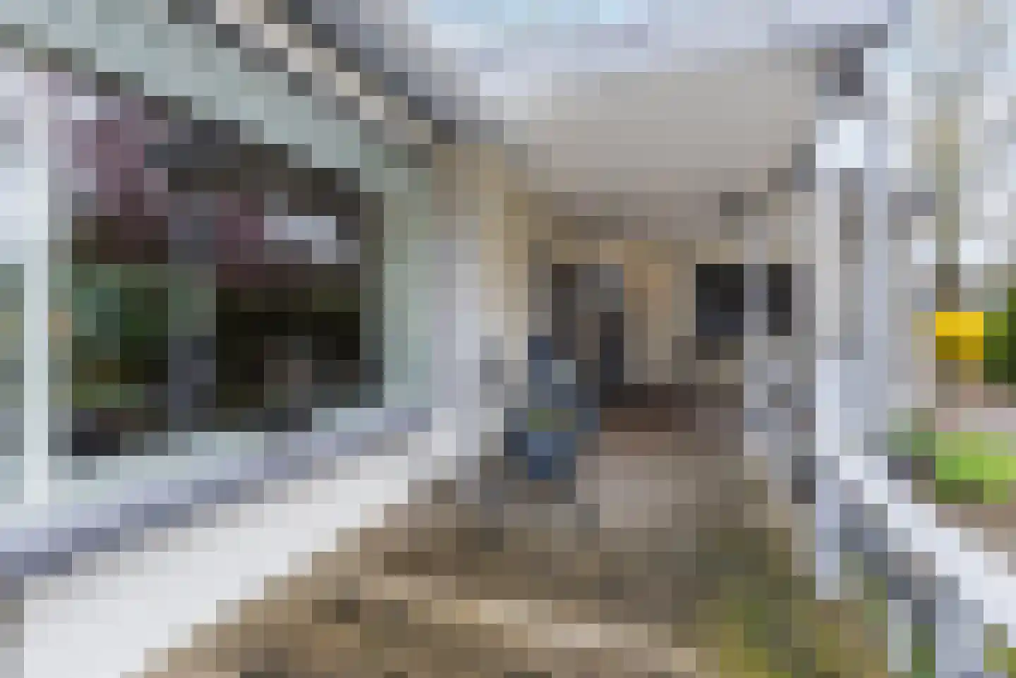 Zuiderveldweg 20 8 Putten thumbnail 31