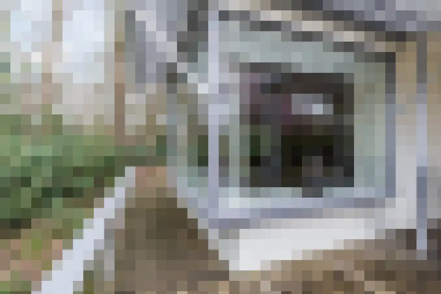 Zuiderveldweg 20 8 Putten thumbnail 33