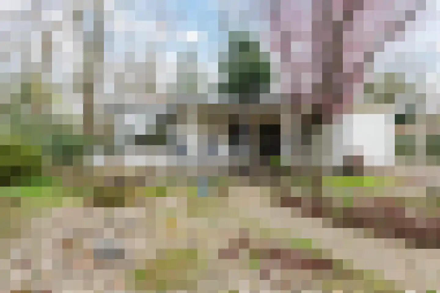 Zuiderveldweg 20 8 Putten thumbnail 35