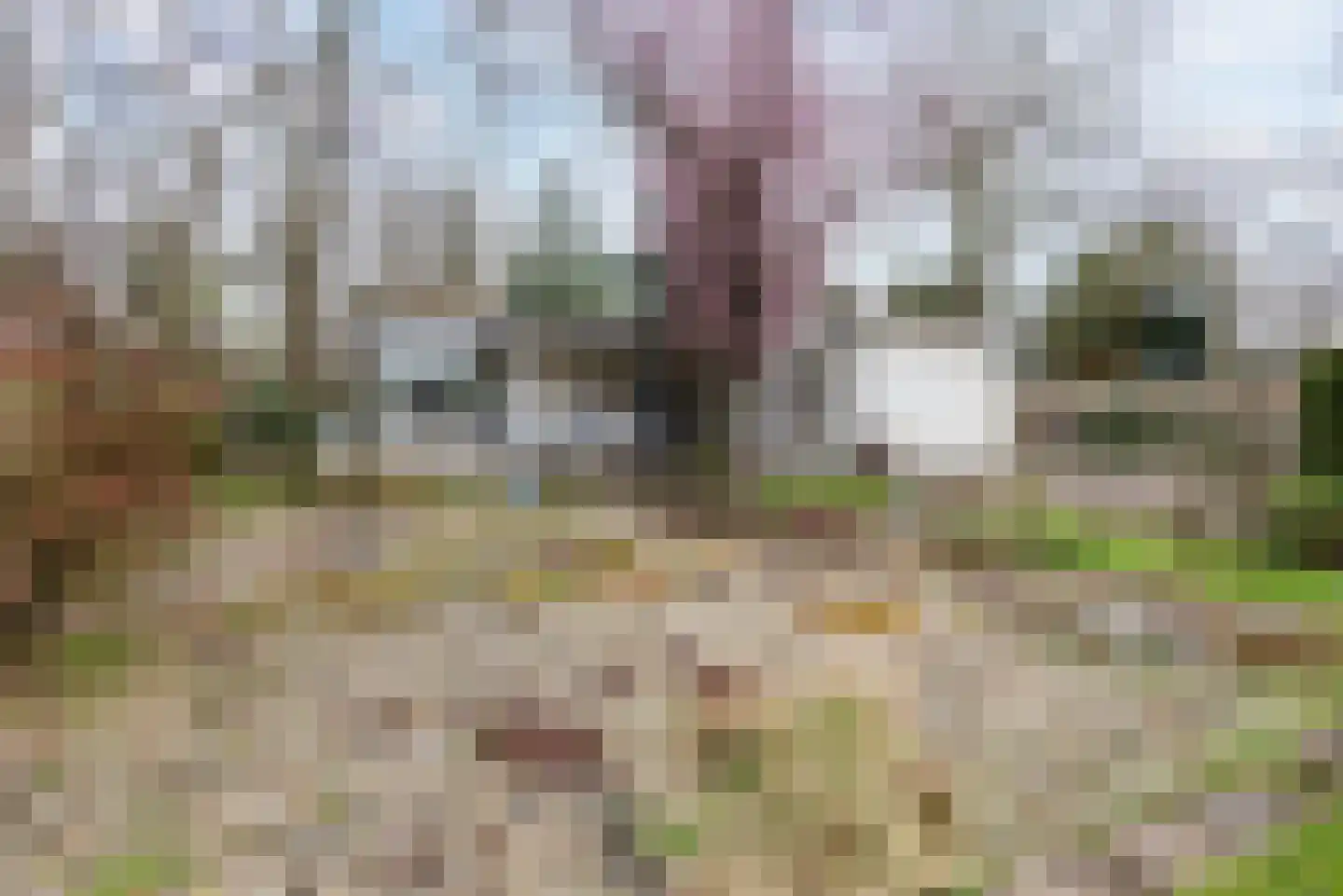 Zuiderveldweg 20 8 Putten thumbnail 36