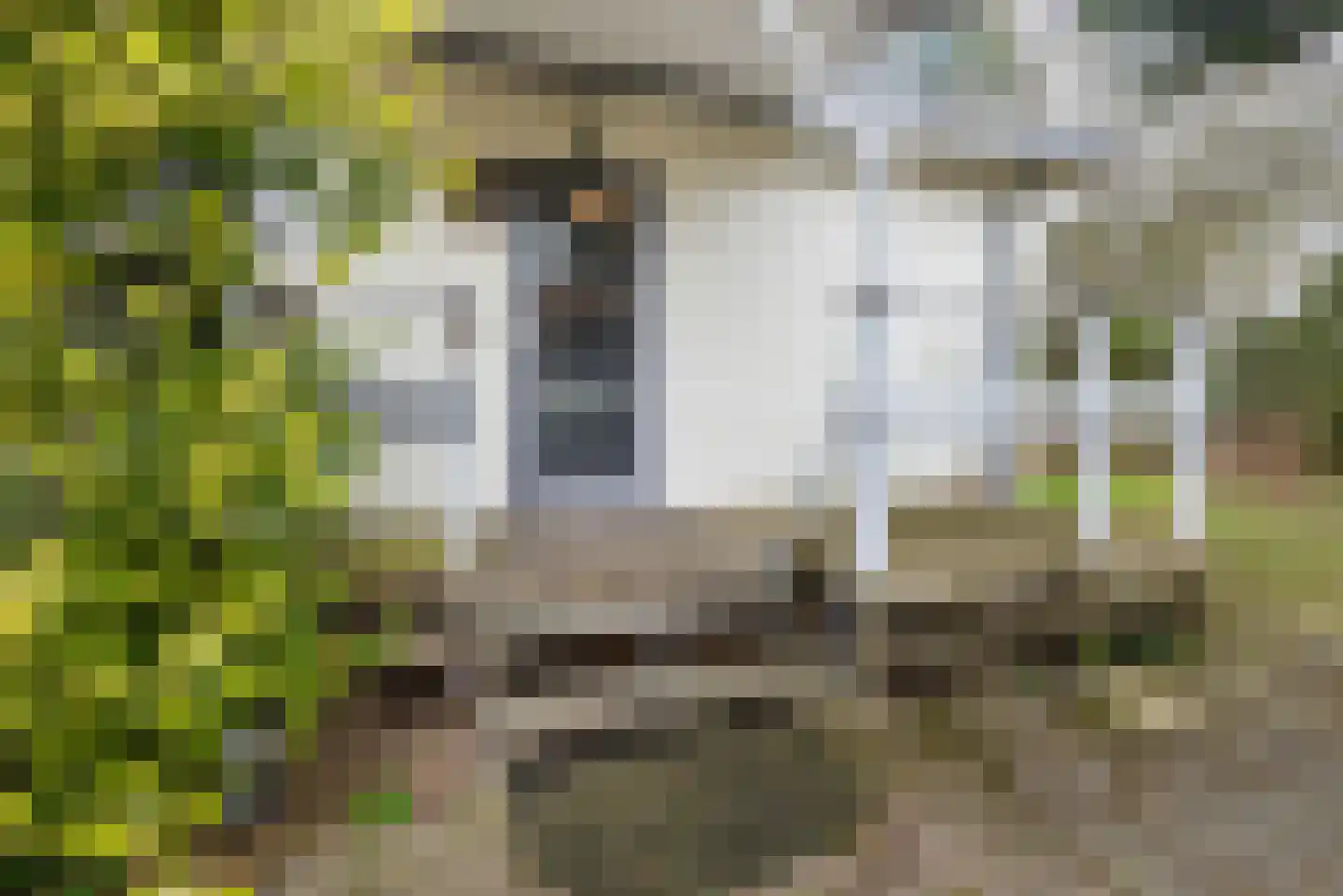 Zuiderveldweg 20 8 Putten thumbnail 40