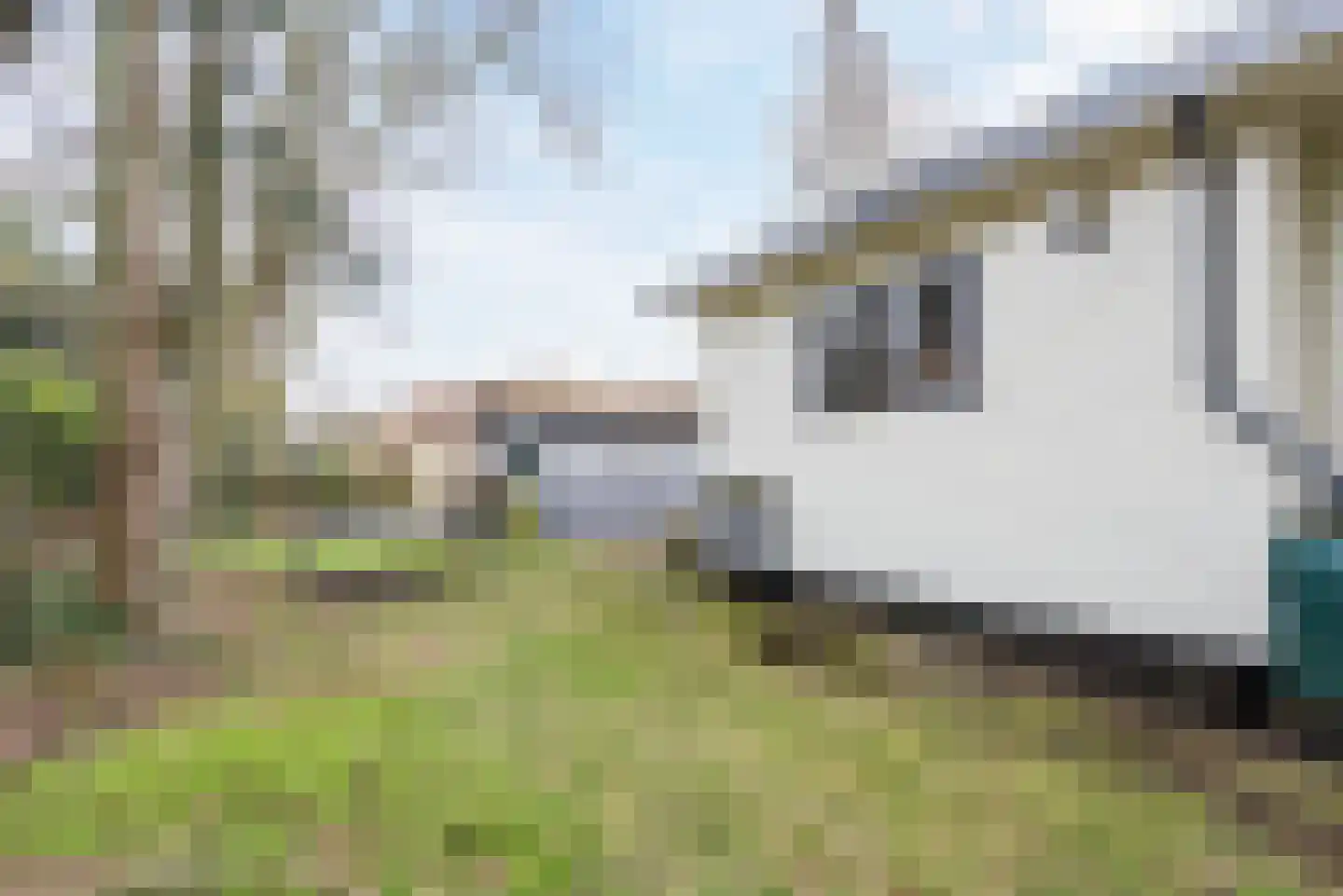 Zuiderveldweg 20 8 Putten thumbnail 44