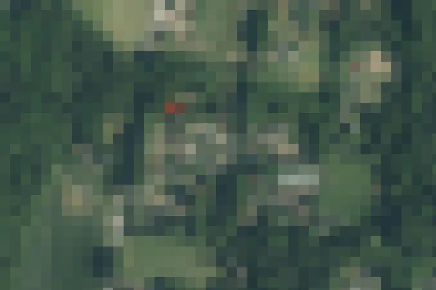 Zuiderveldweg 20 8 Putten thumbnail 53