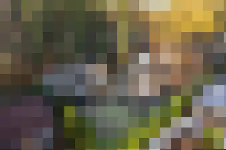 Zuiderveldweg 3 A Putten thumbnail 44