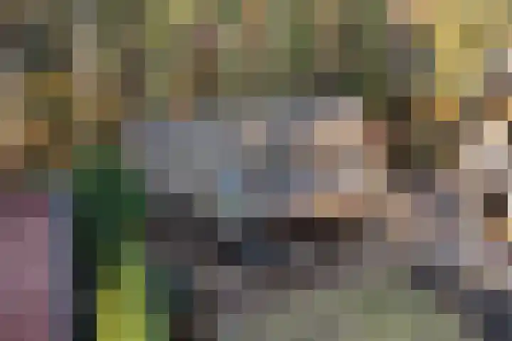 Zuiderveldweg 3 A Putten thumbnail 45