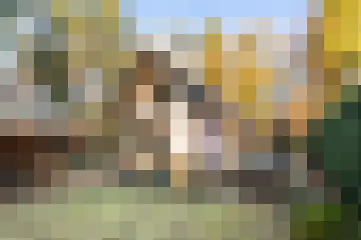 Zuiderveldweg 3 A Putten thumbnail 49