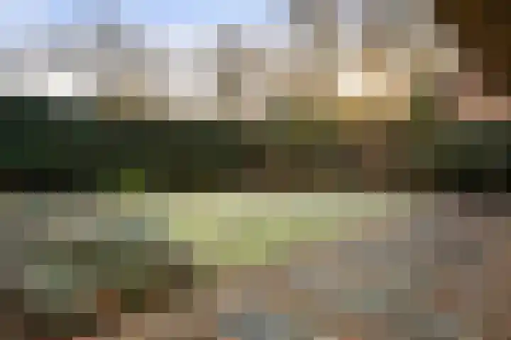 Zuiderveldweg 3 A Putten thumbnail 54