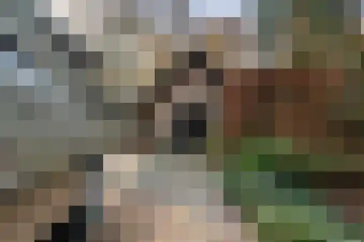 Zuiderveldweg 3 A Putten thumbnail 56