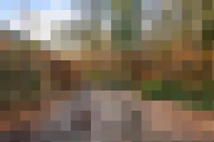 Zuiderveldweg 3 A Putten thumbnail 57