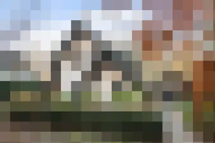 Zuiderveldweg 3 A Putten thumbnail 58