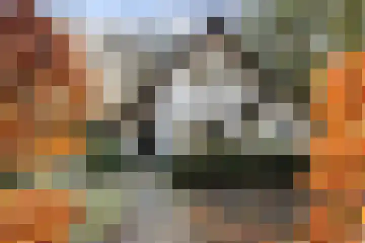 Zuiderveldweg 3 A Putten thumbnail 60