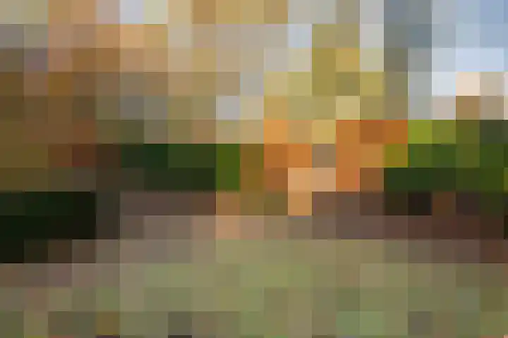 Zuiderveldweg 3 A Putten thumbnail 61