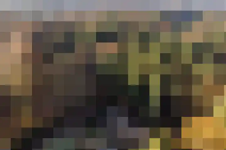 Zuiderveldweg 3 A Putten thumbnail 65