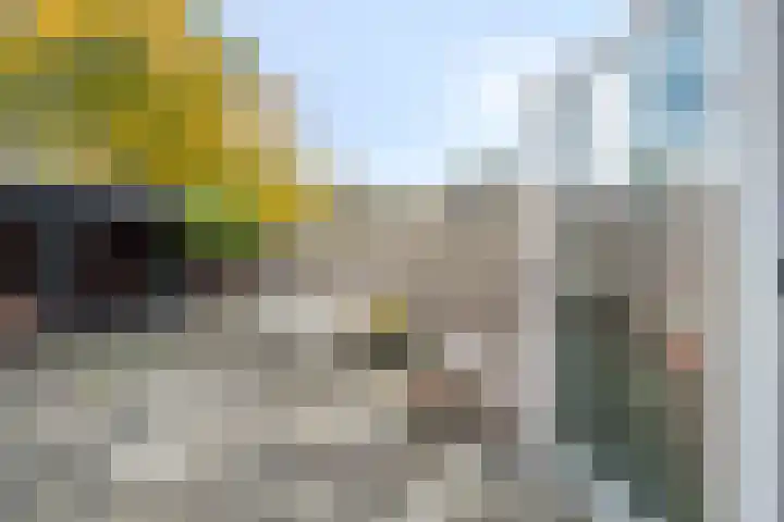 Zuiderven 16 Zaandam thumbnail 16
