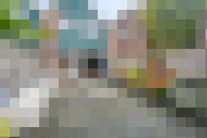 Zuiderven 16 Zaandam thumbnail 19