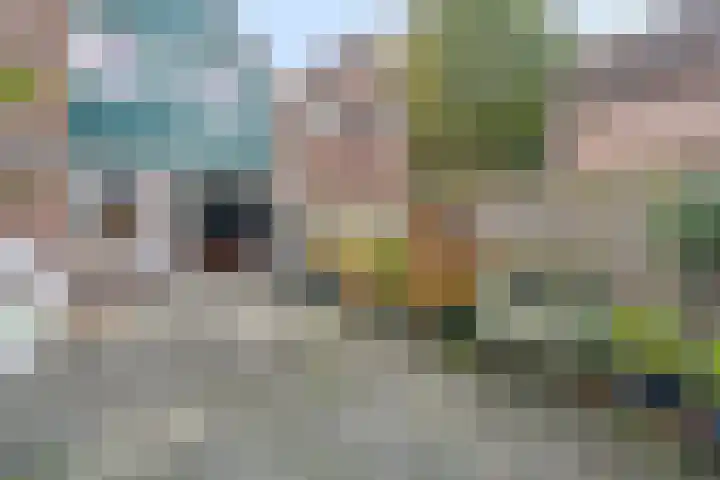 Zuiderven 16 Zaandam thumbnail 20