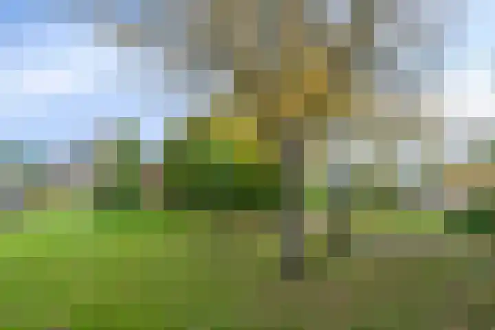 Zuiderven 16 Zaandam thumbnail 35