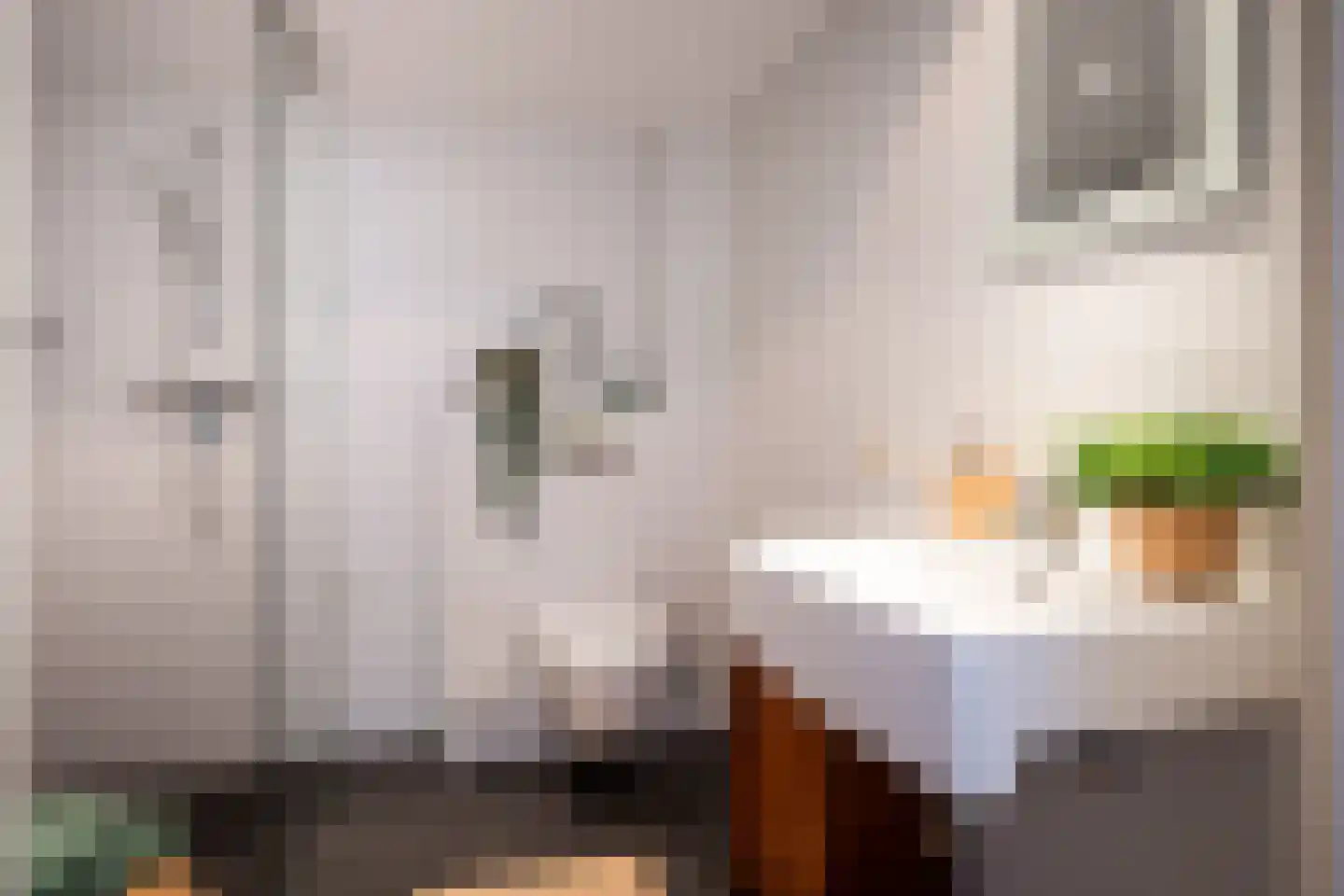 Zuiderven 26 Zaandam thumbnail 17