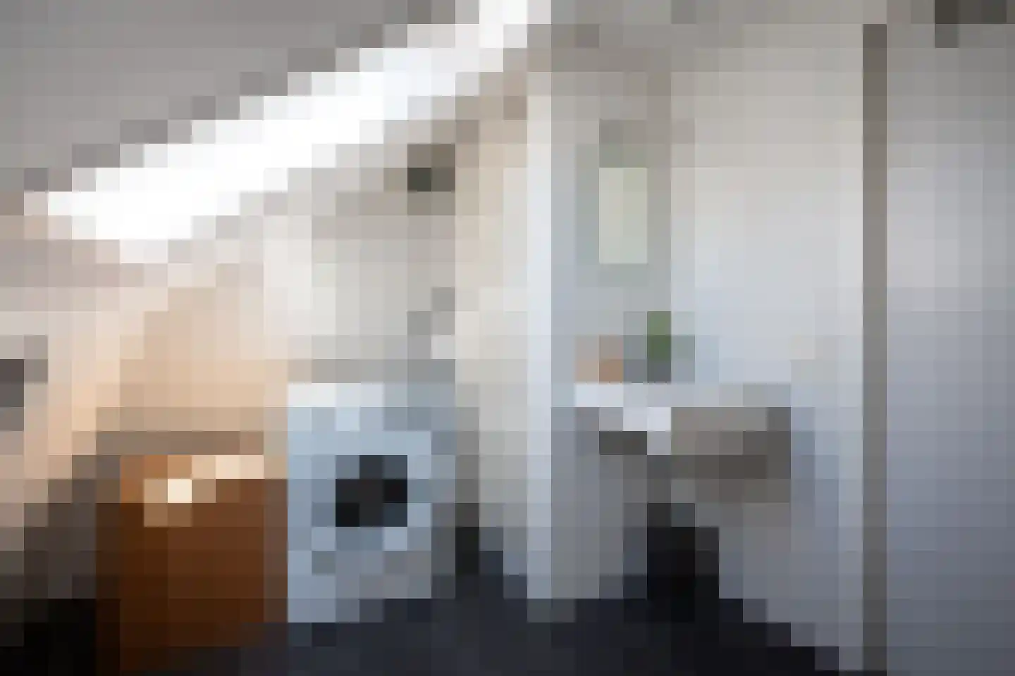 Zuiderven 26 Zaandam thumbnail 30