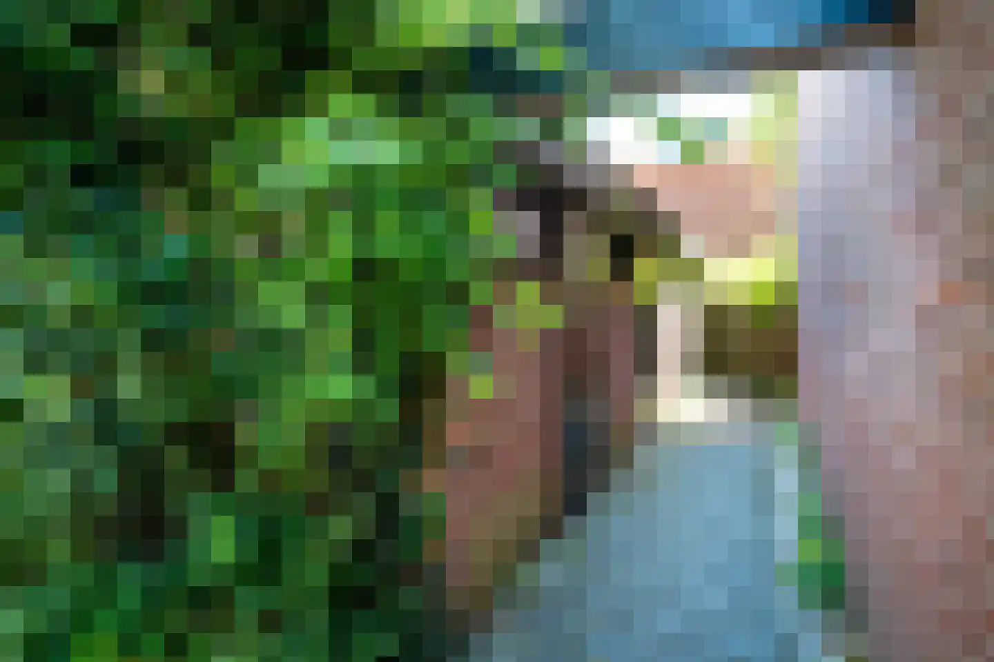 Zuiderven 26 Zaandam thumbnail 39